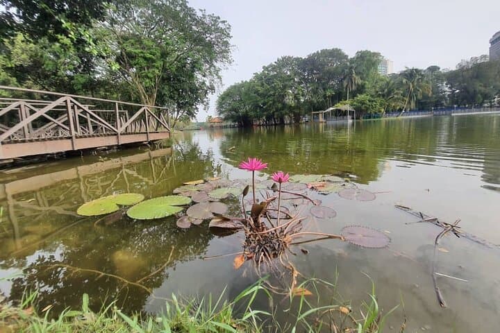 Private Half-Day in Shah Alam: Lake Gardens Walk and Malaysia’s Largest Mosque