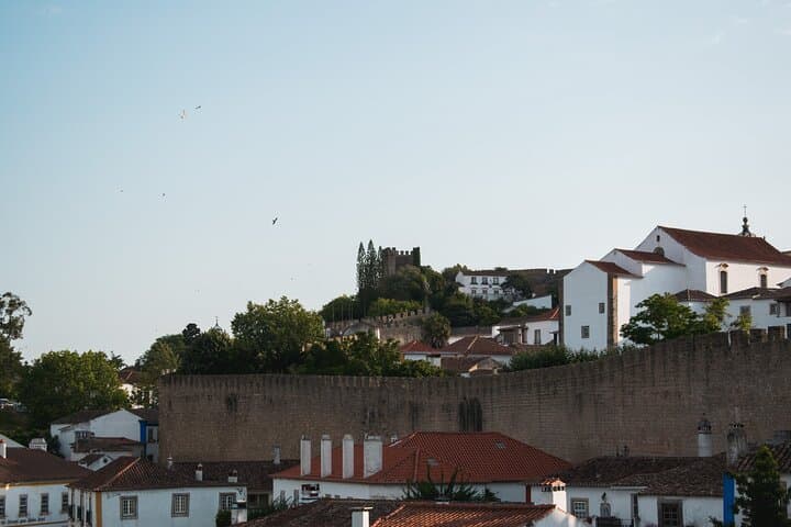 Óbidos, Peniche & Buddha Eden: Full-Day Private Tour of Portugal’s West Coast Highlights