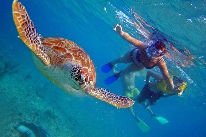 Hurghada VIP Boat Trip to Dolphin House — Snorkel & Dive with Lunch photo 6