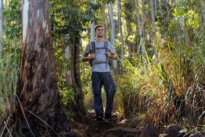 Knuckles & Wasgamuwa: 3-Day Trek and Safari from Kandy
