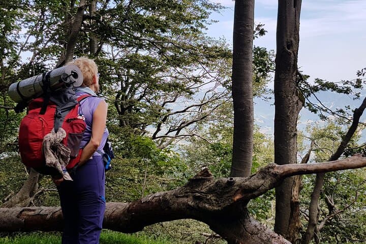 Hike Monte Falterona & Monte Falco in Foreste Casentinesi — Day Trip from Florence