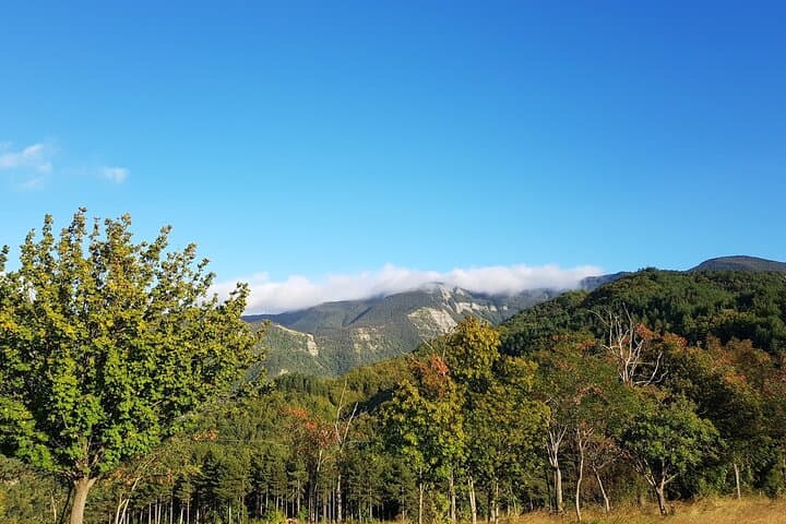 Hike Monte Falterona & Monte Falco in Foreste Casentinesi — Day Trip from Florence photo 2