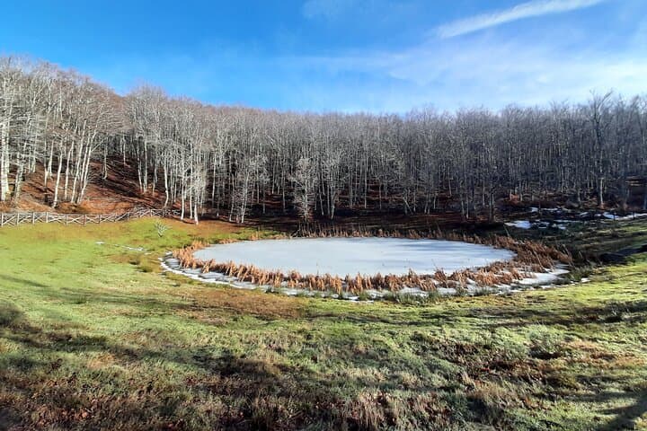 Hike Monte Falterona & Monte Falco in Foreste Casentinesi — Day Trip from Florence photo 3