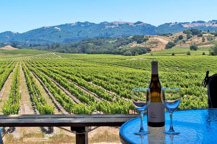 Sip Through Sonoma: All-Inclusive Wine Tour in Sonoma Valley