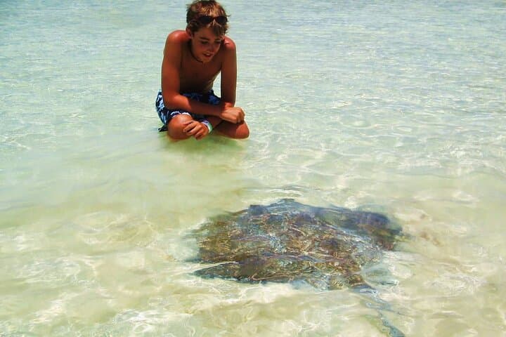 Isla Contoy & Isla Mujeres Catamaran: Full-Day Snorkel at Ixlache Reef photo 6