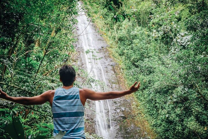 Manoa Waterfall Hike: Rainforest Walk, Waikiki Pickup & Tantalus Lunch