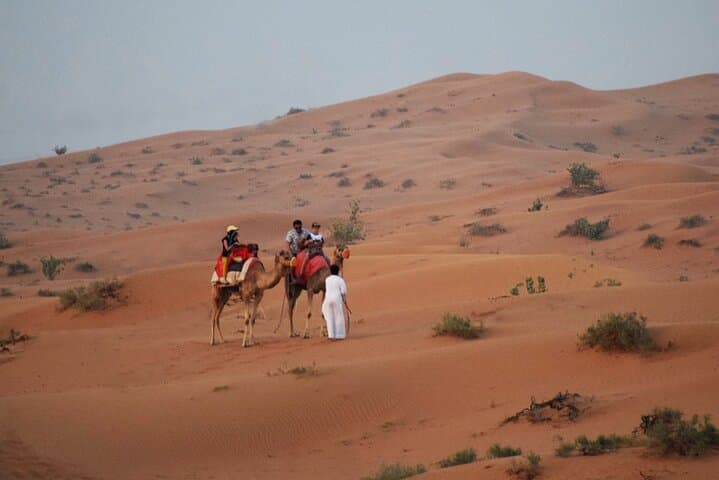 Ras Al Khaimah Desert Safari: Dune Bashing, Camel Rides and BBQ photo 3