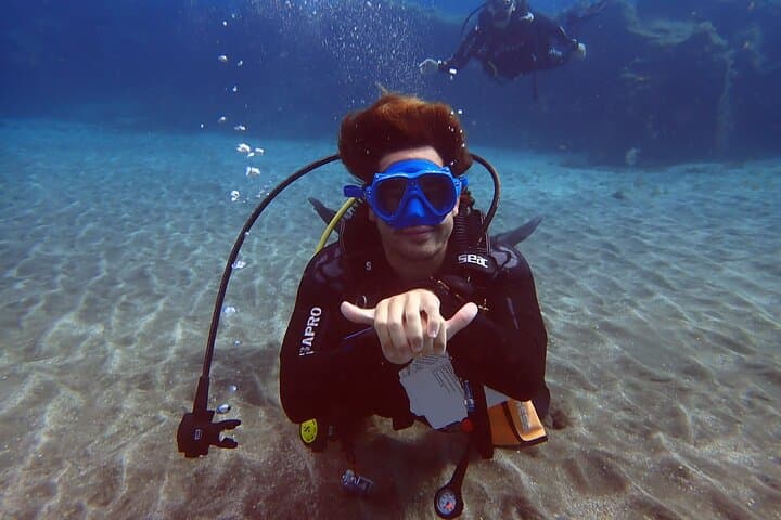 Beginner Scuba Diving in Abades, Tenerife — Guided Introductory Dive photo 4
