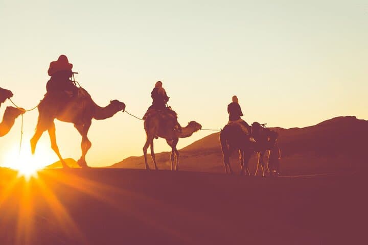 Morning Dubai Desert Safari — Dune Bashing, Sandboarding & Camel Ride photo 6