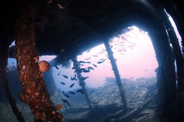 Discover Scuba Diving in Tulamben: Intro Dives at the USAT Liberty Shipwreck
