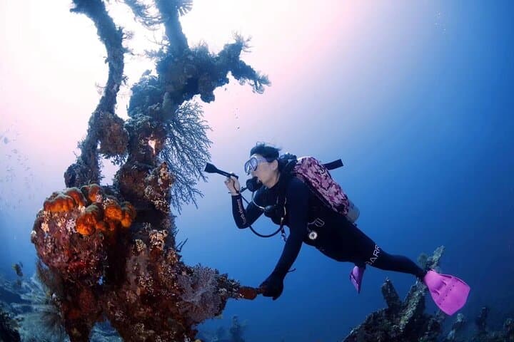 Discover Scuba Diving in Tulamben: Intro Dives at the USAT Liberty Shipwreck photo 5