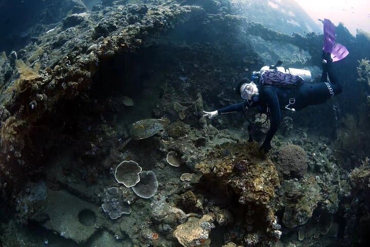 Discover Scuba Diving in Tulamben: Intro Dives at the USAT Liberty Shipwreck photo 6