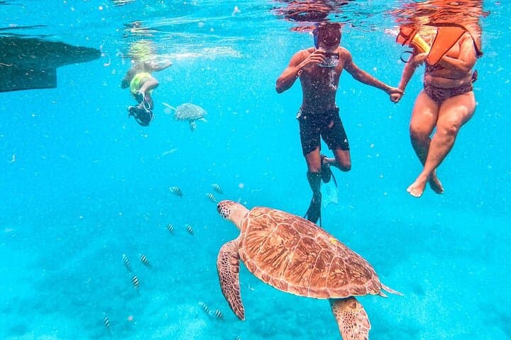 Snorkel with Sea Turtles off São Vicente: Mindelo Boat Trip