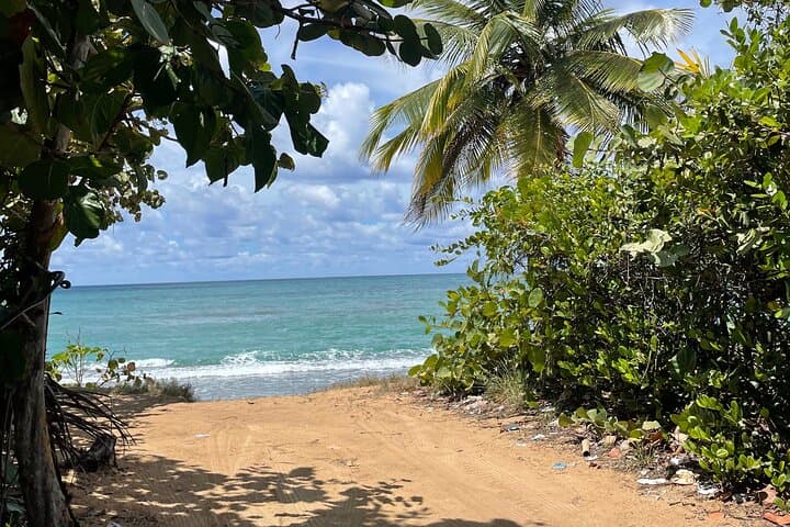 Piñones Hidden Beach Food and History Half-Day Tour — Puerto Rico photo 2