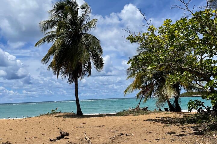 Piñones Hidden Beach Food and History Half-Day Tour — Puerto Rico photo 4