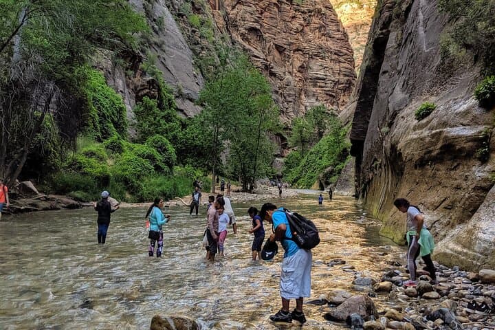 Zion Canyon in a Day: Small-Group Tour from Las Vegas to Zion National Park