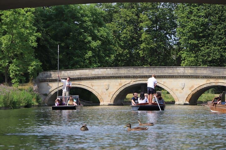 Shared Chauffeured Punt Tour Along the River Cam - Cambridge College Backs Cruise