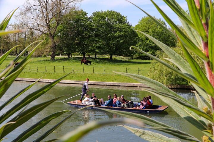 Shared Chauffeured Punt Tour Along the River Cam - Cambridge College Backs Cruise photo 4