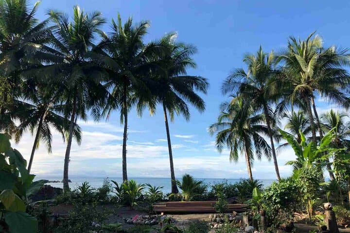 4-Day Nuquí Whale-Watching Escape: Pacific Humpbacks, Hot Springs & Ecolodge photo 3