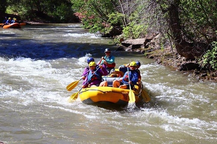 Half-Day Rafting on the Lower San Miguel River Near Telluride photo 3