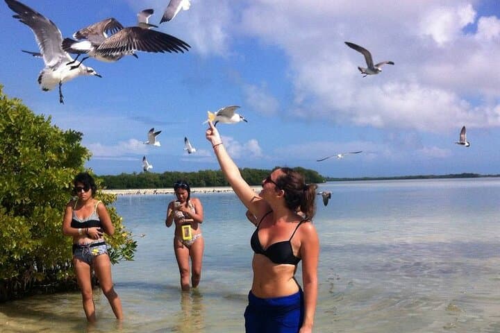 Holbox Island & Cenote Yalahau Eco-Adventure from Cancun — Day Trip Guide photo 2