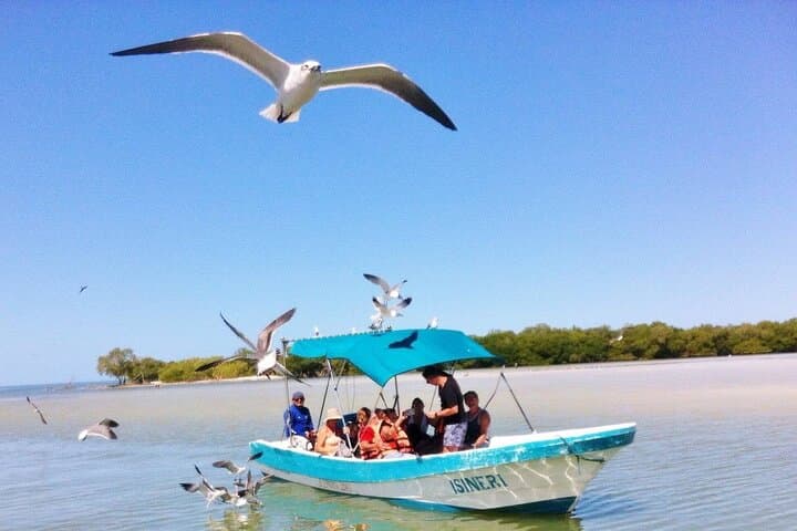 Holbox Island & Cenote Yalahau Eco-Adventure from Cancun — Day Trip Guide photo 5