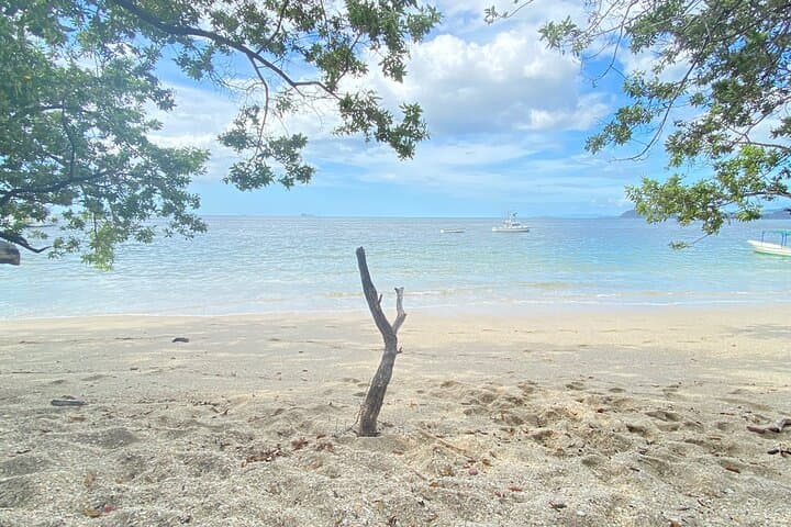 Day Trip to Guanacaste: Tamarindo & Flamingo Beaches in One Day photo 5