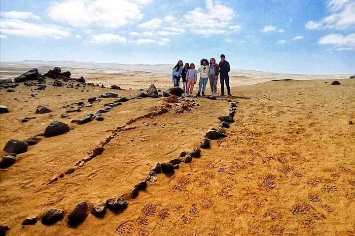 Canyon of the Lost: Full-Day Ica Desert Tour to Ocucaje's Fossil Canyons photo 4