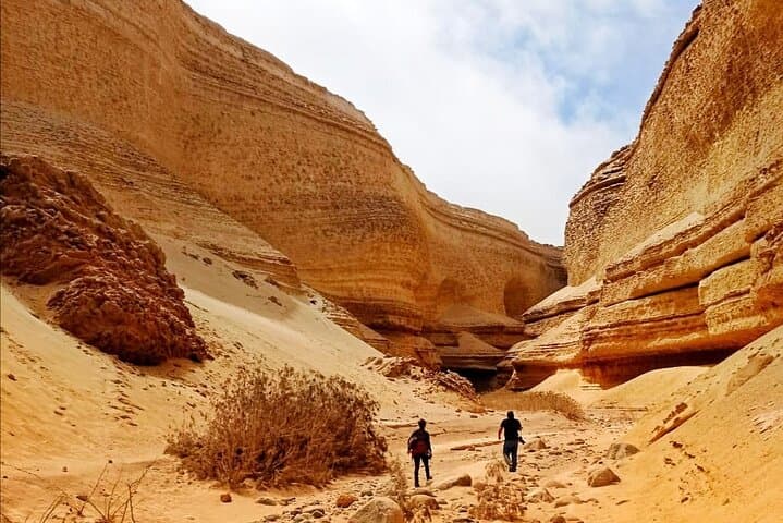 Canyon of the Lost: Full-Day Ica Desert Tour to Ocucaje's Fossil Canyons photo 5