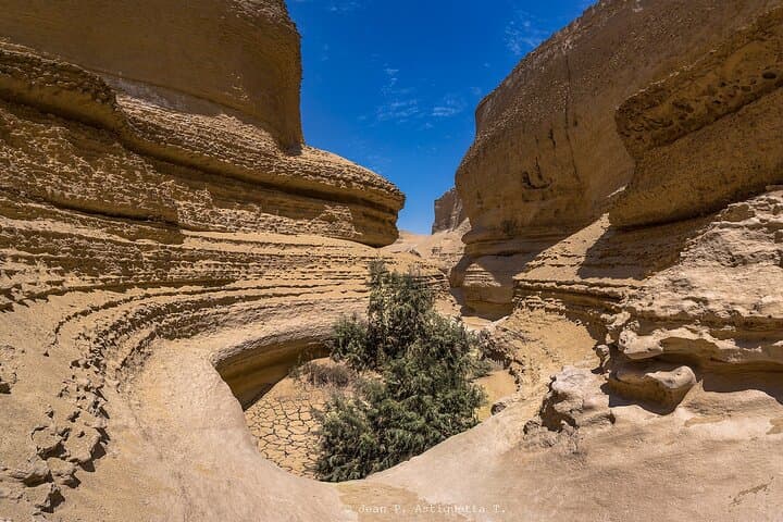 Canyon of the Lost: Full-Day Ica Desert Tour to Ocucaje's Fossil Canyons photo 6