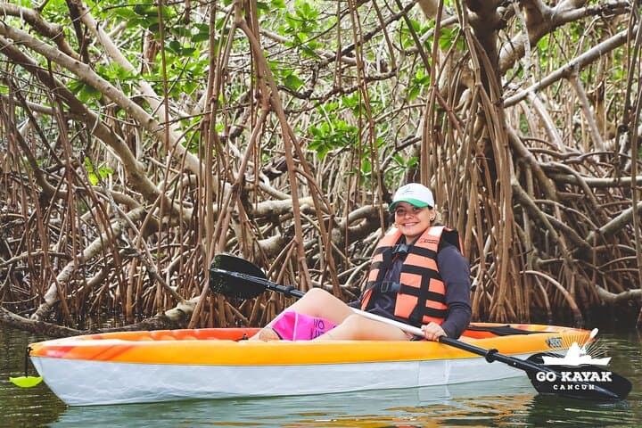 Sunset Kayak Tour in Laguna Nichupté: Mangroves, Birds, and Coastal Light photo 3