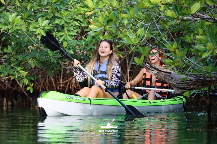 Sunset Kayak Tour in Laguna Nichupté: Mangroves, Birds, and Coastal Light photo 5