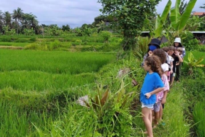 Jambangan Village Trek & Rice-Field Walk from Ubud — Morning Cultural Trek