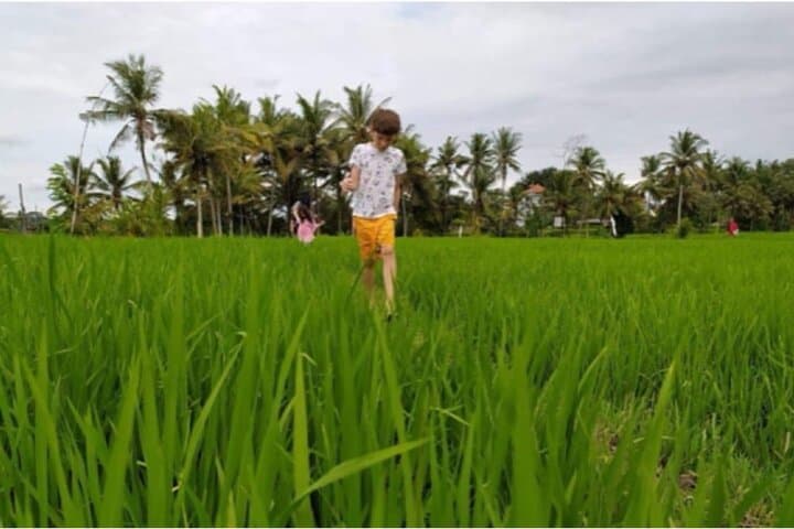 Jambangan Village Trek & Rice-Field Walk from Ubud — Morning Cultural Trek photo 2
