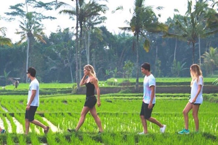 Jambangan Village Trek & Rice-Field Walk from Ubud — Morning Cultural Trek photo 4