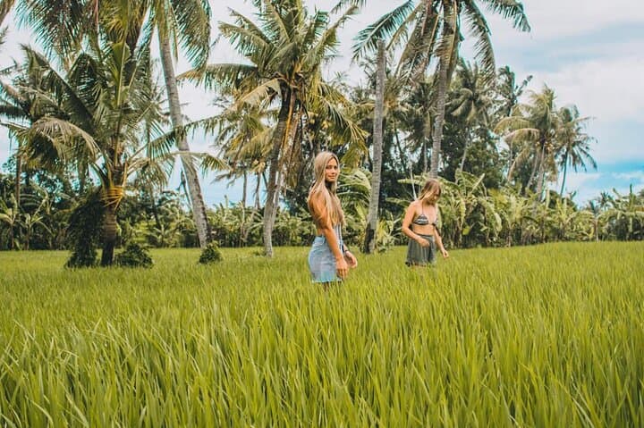 Jambangan Village Trek & Rice-Field Walk from Ubud — Morning Cultural Trek photo 5