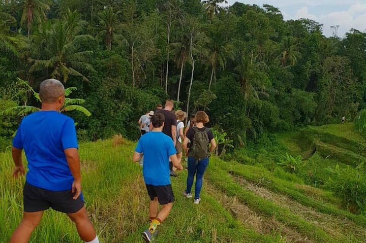 Jambangan Village Trek & Rice-Field Walk from Ubud — Morning Cultural Trek photo 6