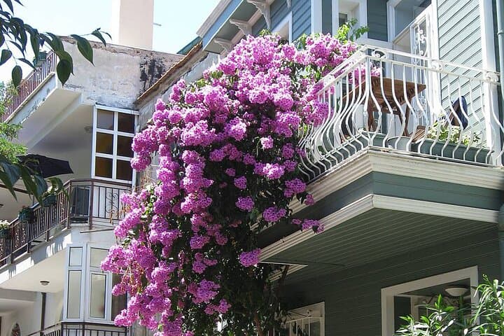 Princes' Islands Day Tour from Istanbul: Büyükada & Heybeliada by Boat photo 3