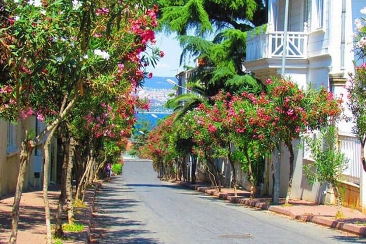 Princes' Islands Day Tour from Istanbul: Büyükada & Heybeliada by Boat photo 2