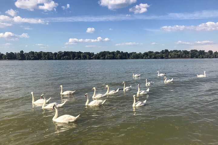 Discover Belgrade: Unexpected Treasures Walking Tour Along the Danube photo 3