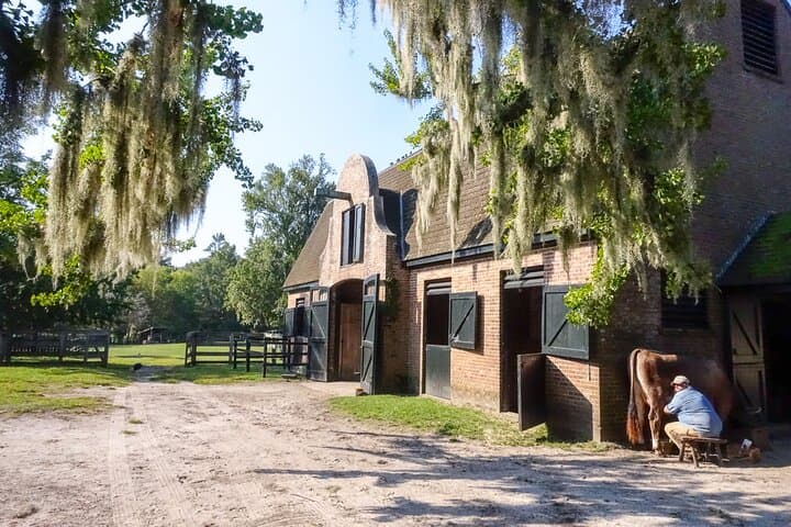 Charleston Plantation Tour: Middleton Place 3-Hour Guided Experience with Hotel Pickup photo 3