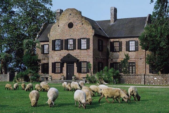 Charleston Plantation Tour: Middleton Place 3-Hour Guided Experience with Hotel Pickup