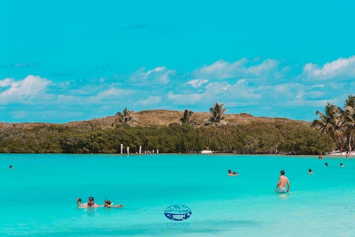 Isla Contoy Eco Adventure — Snorkel Ixlache Reef and Explore a Virgin Island photo 4