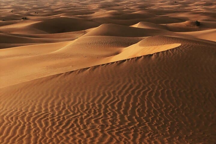 Dubai Morning Desert Safari: Private Dune-Bashing & Sandboarding Adventure photo 5