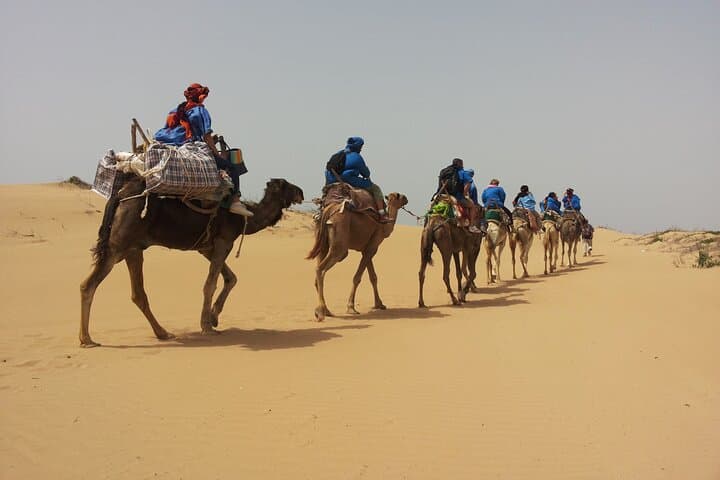 Essaouira 3-Hour Camel Ride: Sunset Beaches, Dunes & Local Culture