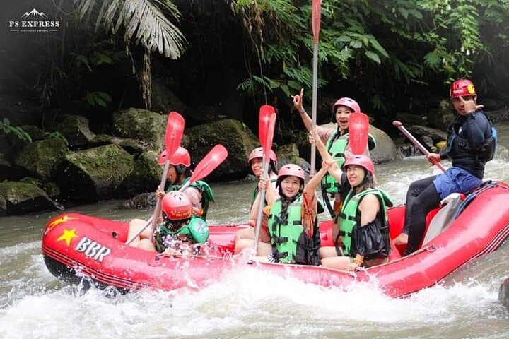 Ubud Ayung River Rafting & Tegallalang Jungle Swing Day Trip