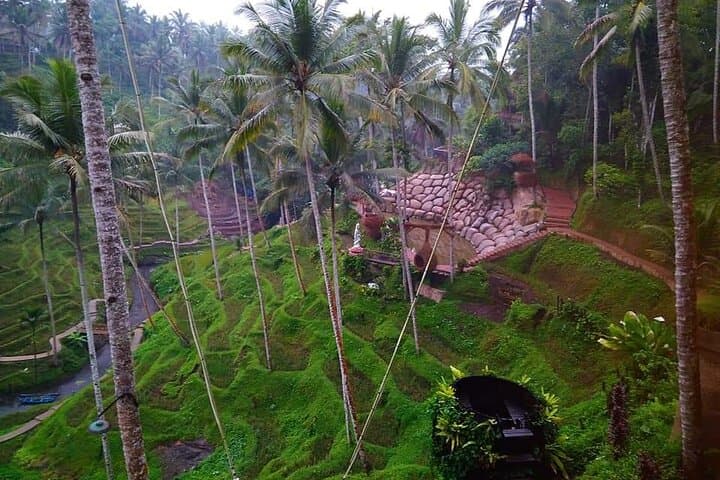 Ubud Ayung River Rafting & Tegallalang Jungle Swing Day Trip photo 2