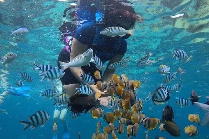 Blue Lagoon Snorkeling & East Bali Waterfall Tour from Ubud photo 5