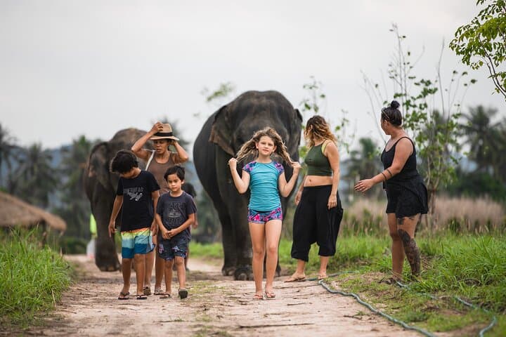 Elephant Jungle Sanctuary Pattaya — Half-Day Morning Program Guide photo 6