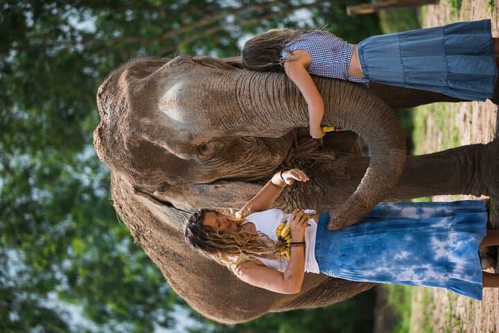 Elephant Jungle Sanctuary Pattaya — Half-Day Morning Program Guide photo 4